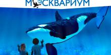 Сообщение о музее для детей (2 класс). Москвариум