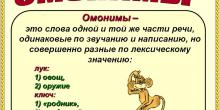Многозначные слова. 10 ОМОНИМОВ для 2 класса