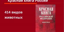 красная книга доклад 2 класс