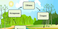 доклад круговорот воды в природе 8 класс