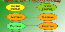 Привести примеры связей в природе, между природой и человеком (Окружающий мир, Плешаков)