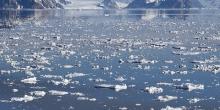 Северный Ледовитый океан (описание для 2 класса). Сообщение
