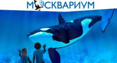 Сообщение о музее для детей (2 класс). Москвариум