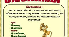 Многозначные слова. 10 ОМОНИМОВ для 2 класса