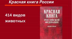 красная книга доклад 2 класс