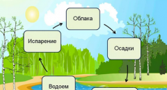 доклад круговорот воды в природе 8 класс