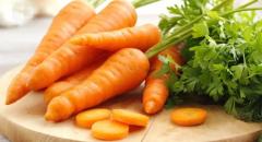 Морковь. Описание культурного растения для детей