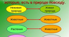 Привести примеры связей в природе, между природой и человеком (Окружающий мир, Плешаков)