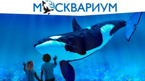 Сообщение о музее для детей (2 класс). Москвариум