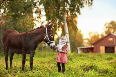Как я провел лето в деревне. Сочинение