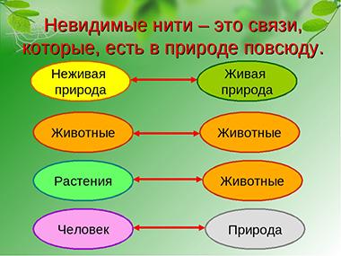 Привести примеры связей в природе, между природой и человеком (Окружающий мир, Плешаков)