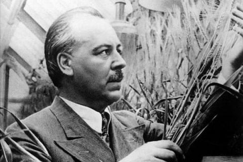 Николай Иванович Вавилов (сообщение для 5 класса, Биология)